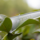 Hyline Safety Glasses