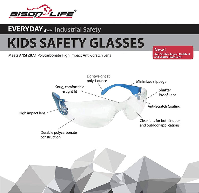 Bison Life Kids Safety Glasses, Clear Lens with Assorted Color Temple, Anti-Scratch