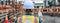 Hard Hats: The First Line of Defense for Head Safety