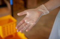 vinyl food service gloves