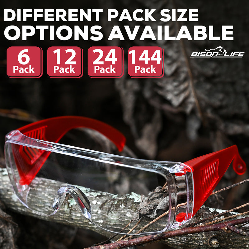Bison Life Diamont Youth Clear Lens Vented Over-The-Glasses Protective Eyewear, ANSI Z87.1