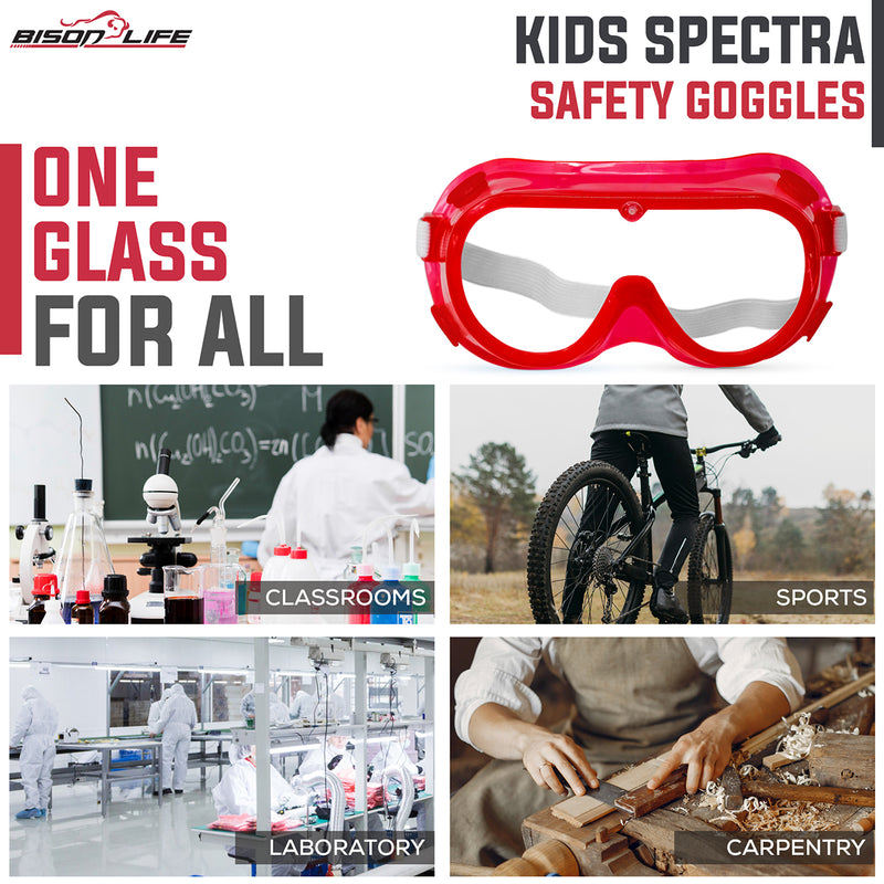 Bison Life Spectra Kids Vented Over-The-Glasses Safety Goggles with Adjustable Strap, ANSI Z87.1