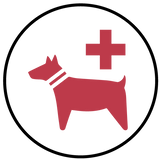 Pet-Care