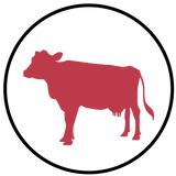 Farm