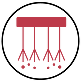 Flagged-Bristles