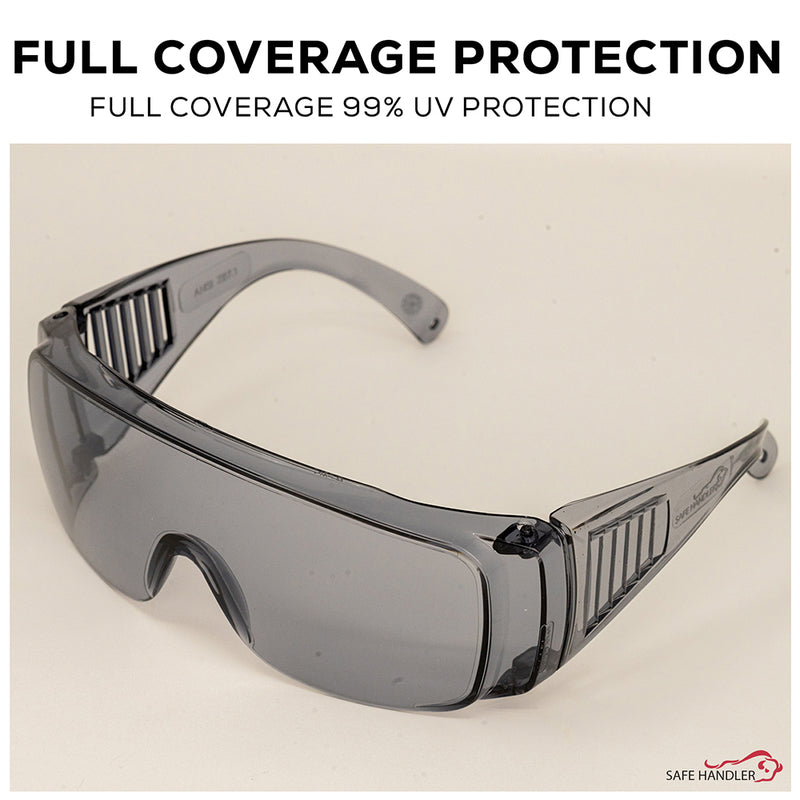 Bison Life Diamont Vented Clear Lens Over the glasses Safety Glasses, ANSI Z87.1