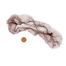 Bison Life Dura Net Spun-Bond Hair Nets – Disposable Breathable Hair Nets for Food Service