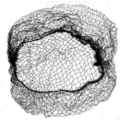 Valentina Invisible Hair Nets, Fits Adult and Youth (Pack of 144)