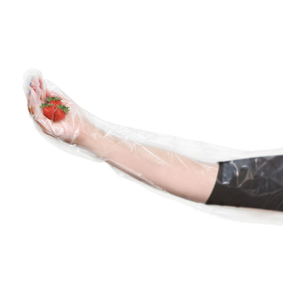 Disposable Food Handling Shoulder Length Poly Gloves, 35.5 inch, OSFM